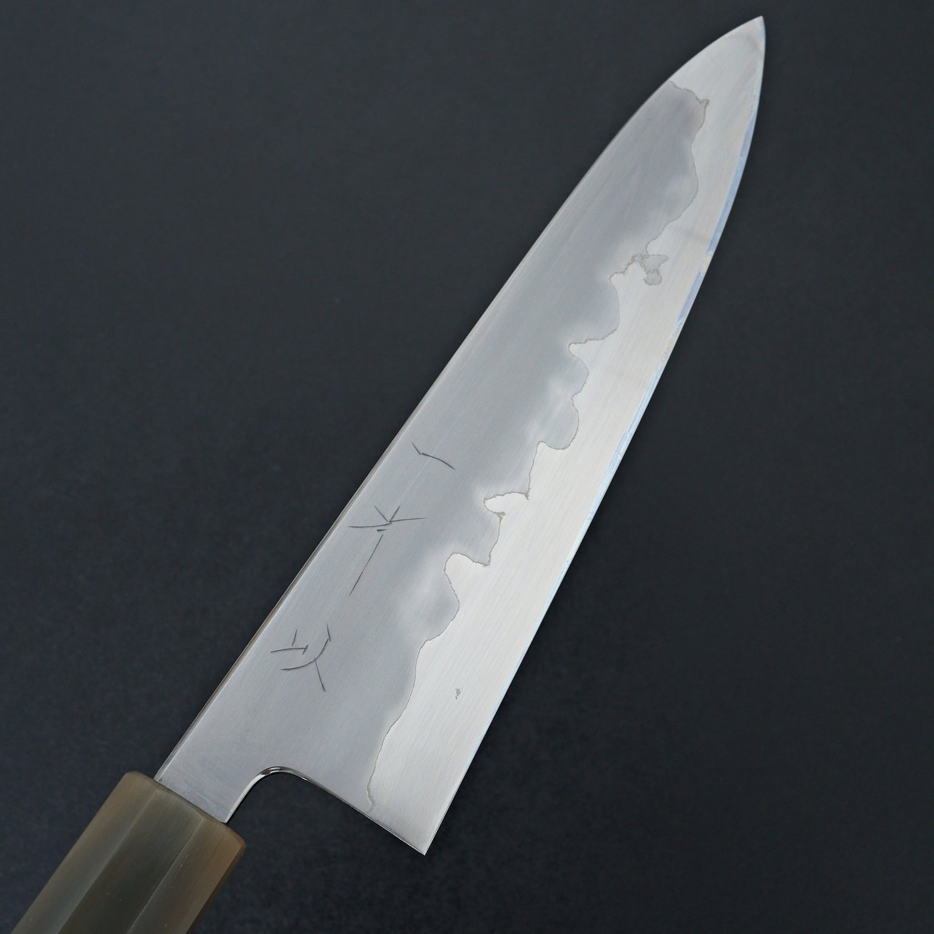 Hitohira Tanaka Izo Blue #1 Stainless Clad Gyuto 210mm Ziricote Handle-Knife-Hitohira-Carbon Knife Co