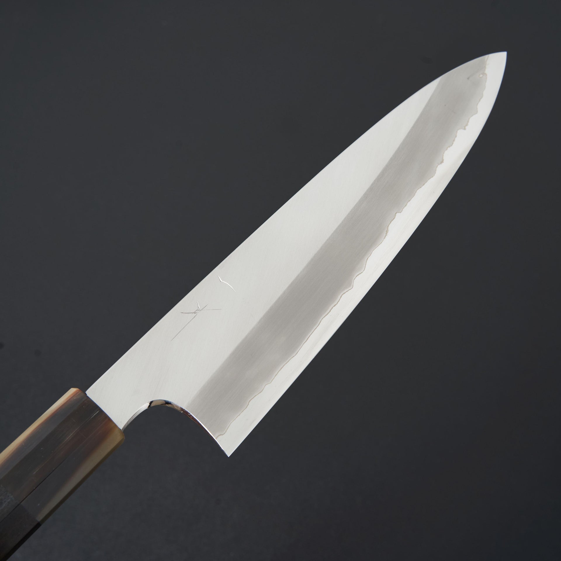 Hitohira Togashi Blue #1 Stainless Clad Gyuto 210mm Taihei Ebony Handle-Knife-Hitohira-Carbon Knife Co