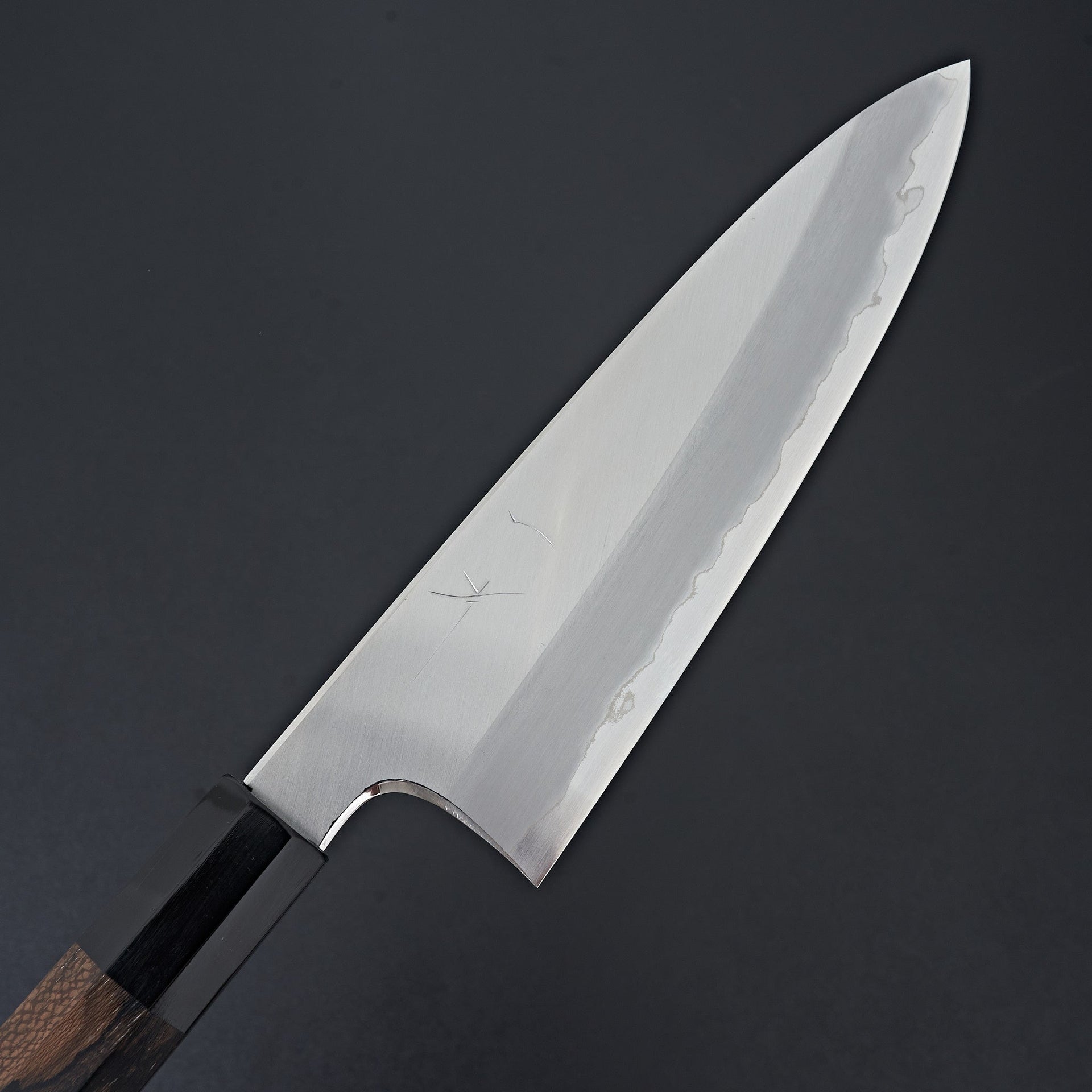 Hitohira Togashi White #1 Stainless Clad Gyuto 210mm Ziricote Handle-Knife-Hitohira-Carbon Knife Co
