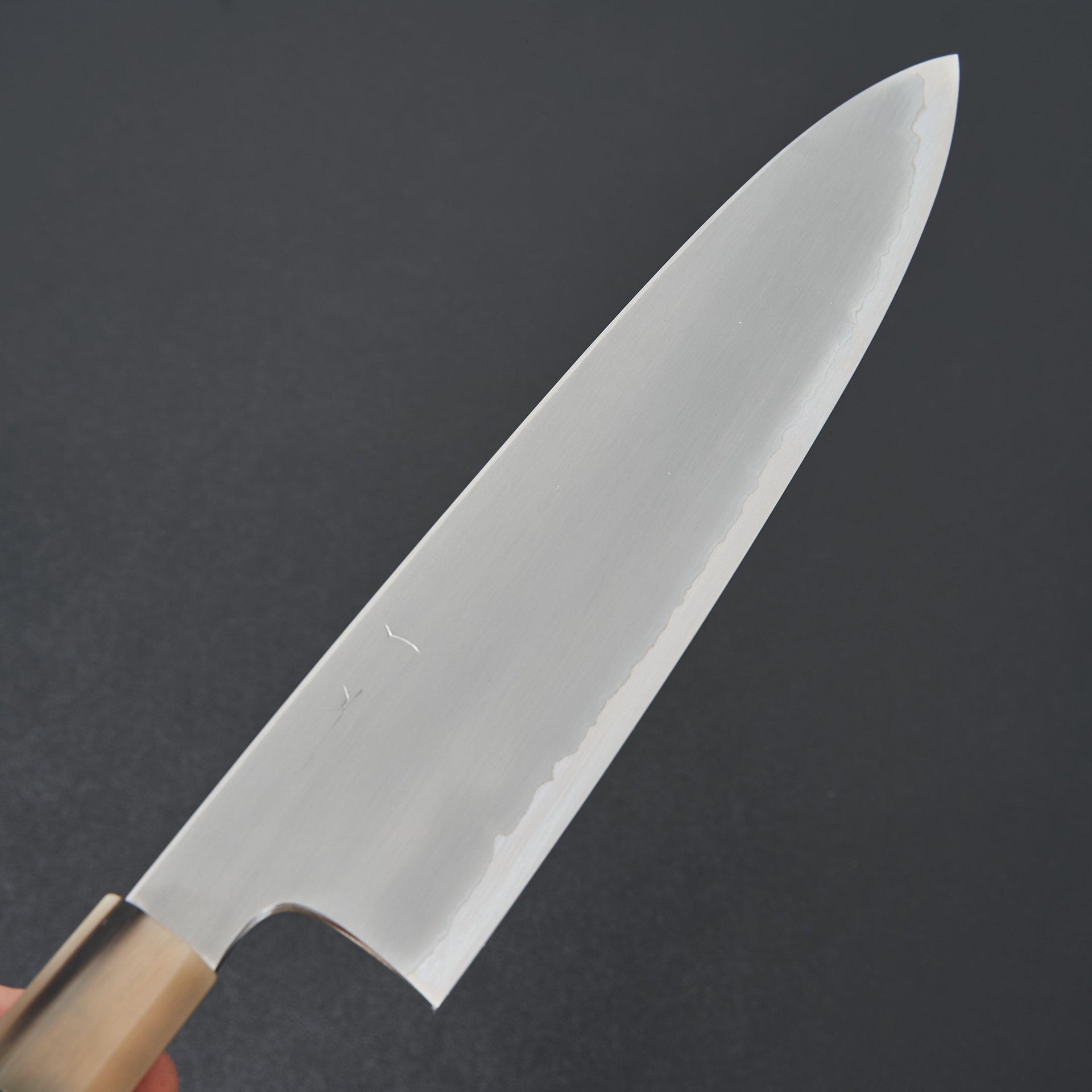 Hitohira Togashi White #1 Stainless Clad Kasumi Gyuto 240mm Ebony Handle-Knife-Hitohira-Carbon Knife Co