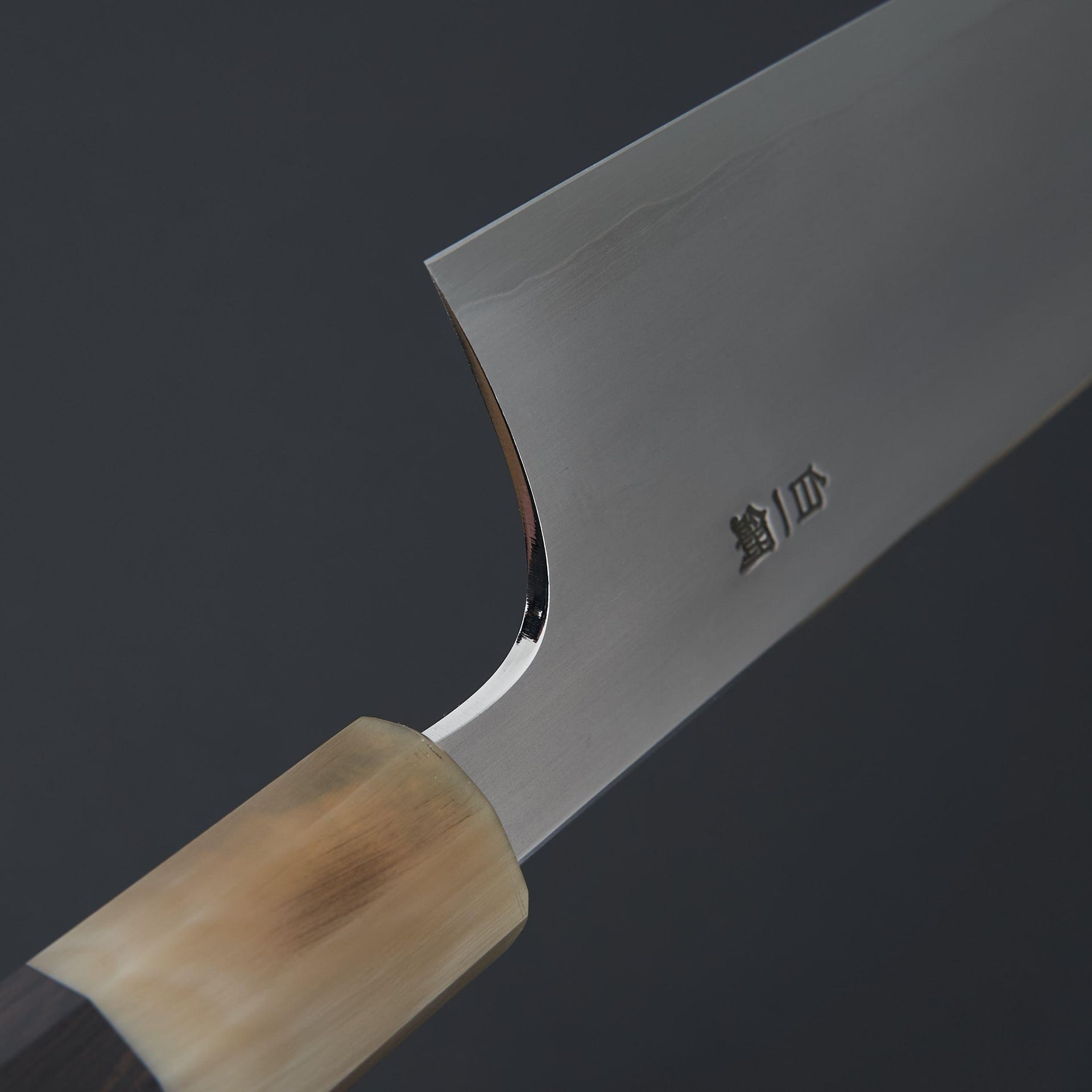 Hitohira Togashi White #1 Stainless Clad Kasumi Kiritsuke Gyuto 210mm Ebony Handle-Knife-Hitohira-Carbon Knife Co