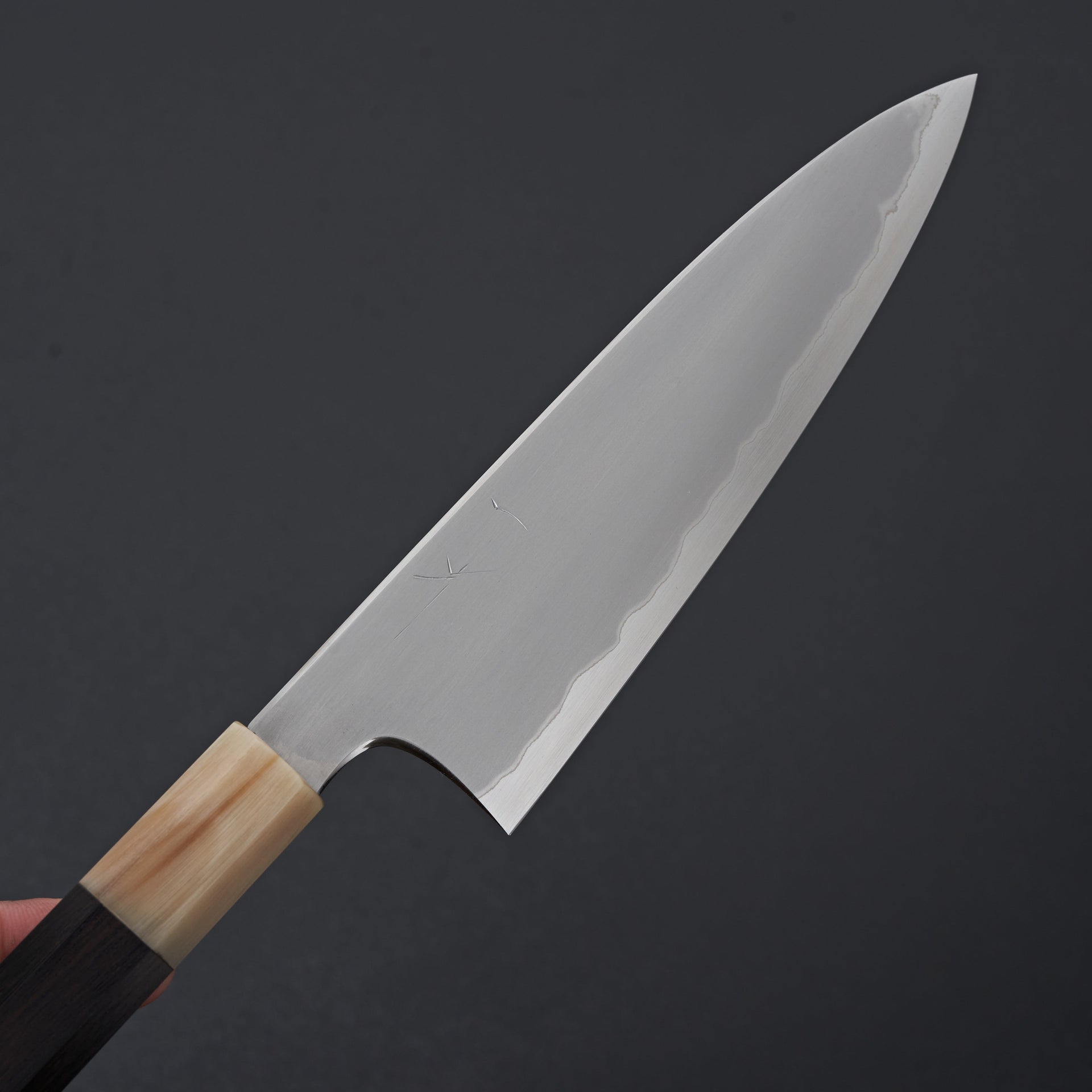 Hitohira Togashi White #1 Stainless Clad Kasumi Utility 165mm Ebony Handle-Hitohira-Carbon Knife Co