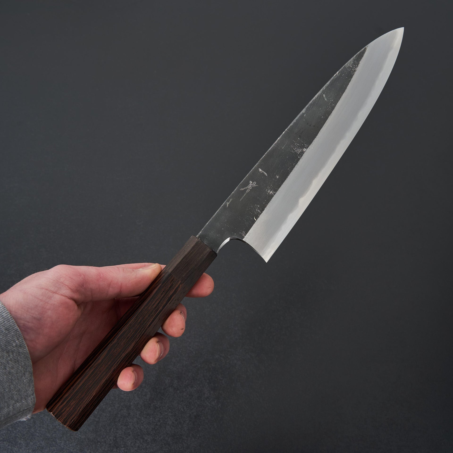Hitohira Togashi White #2 Kurouchi Gyuto 210mm Tagayasan Handle-Knife-Hitohira-Carbon Knife Co