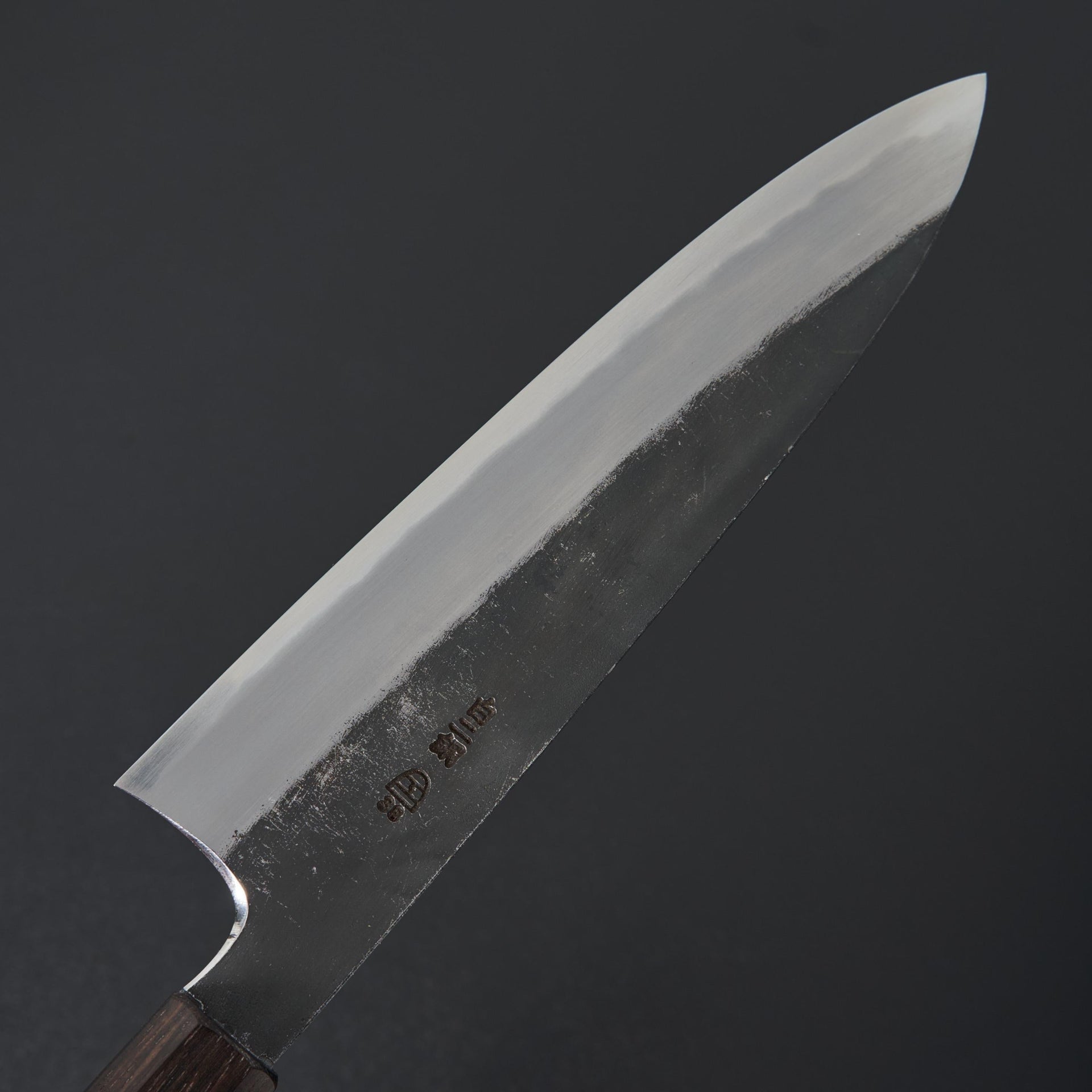 Hitohira Togashi White #2 Kurouchi Gyuto 210mm Tagayasan Handle-Knife-Hitohira-Carbon Knife Co