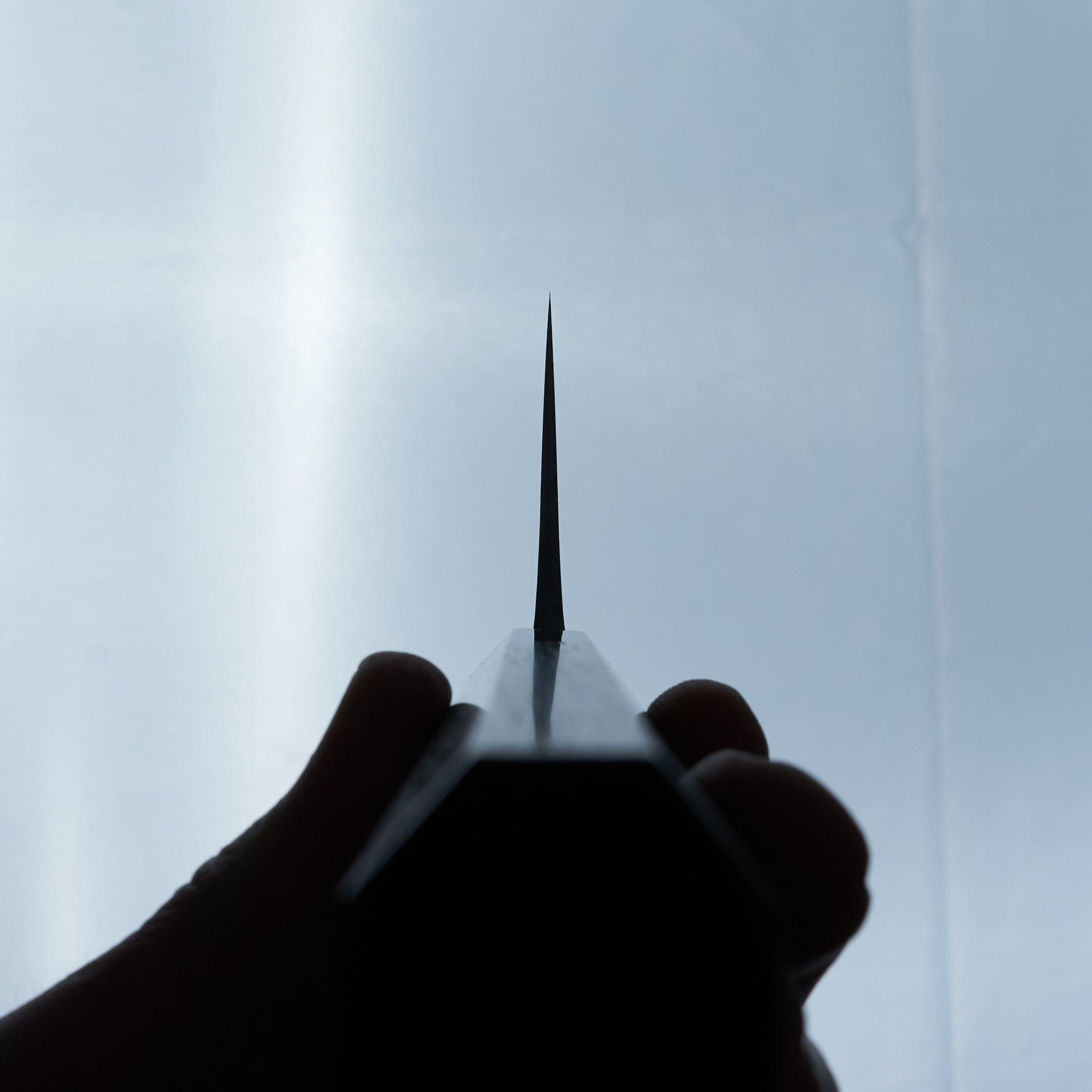 Jiro Tsuchime Wa Gyuto 225mm Taihei Tagayasan Handle (#465)