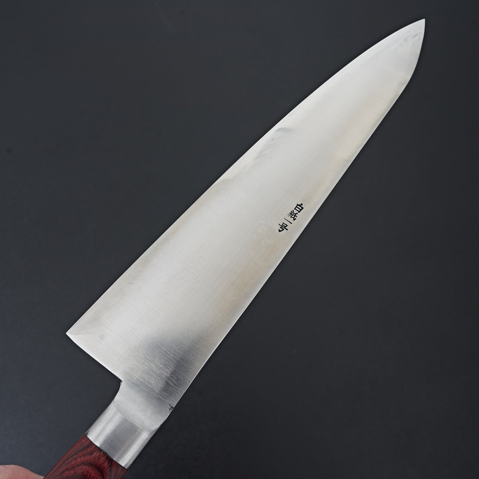 Kogetsu White #1 Gyuto 240mm Wine Pakka Handle-Knife-Kogetsu-Carbon Knife Co