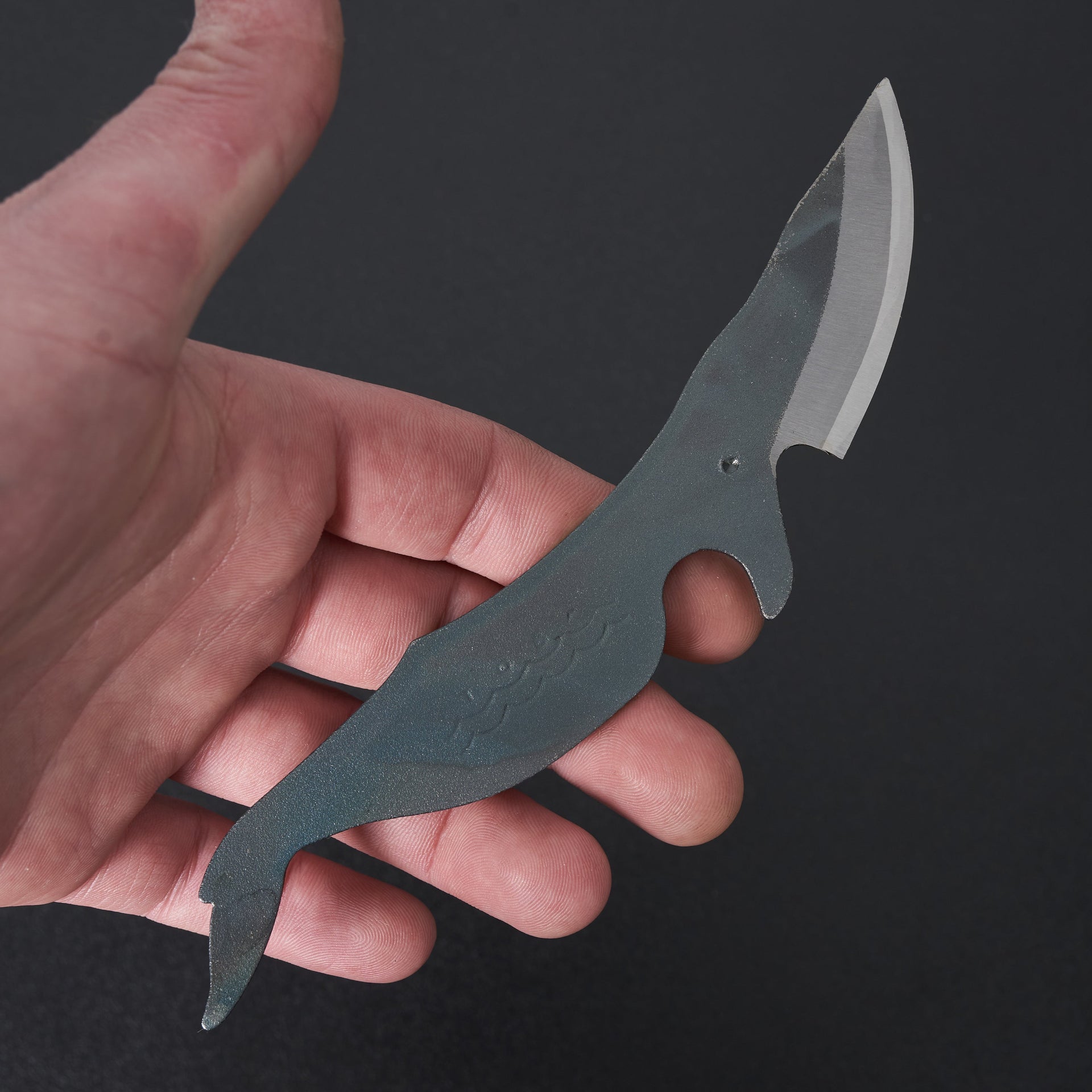 Kujira Whale Knife-Knife-Kujira-Makkou-Carbon Knife Co
