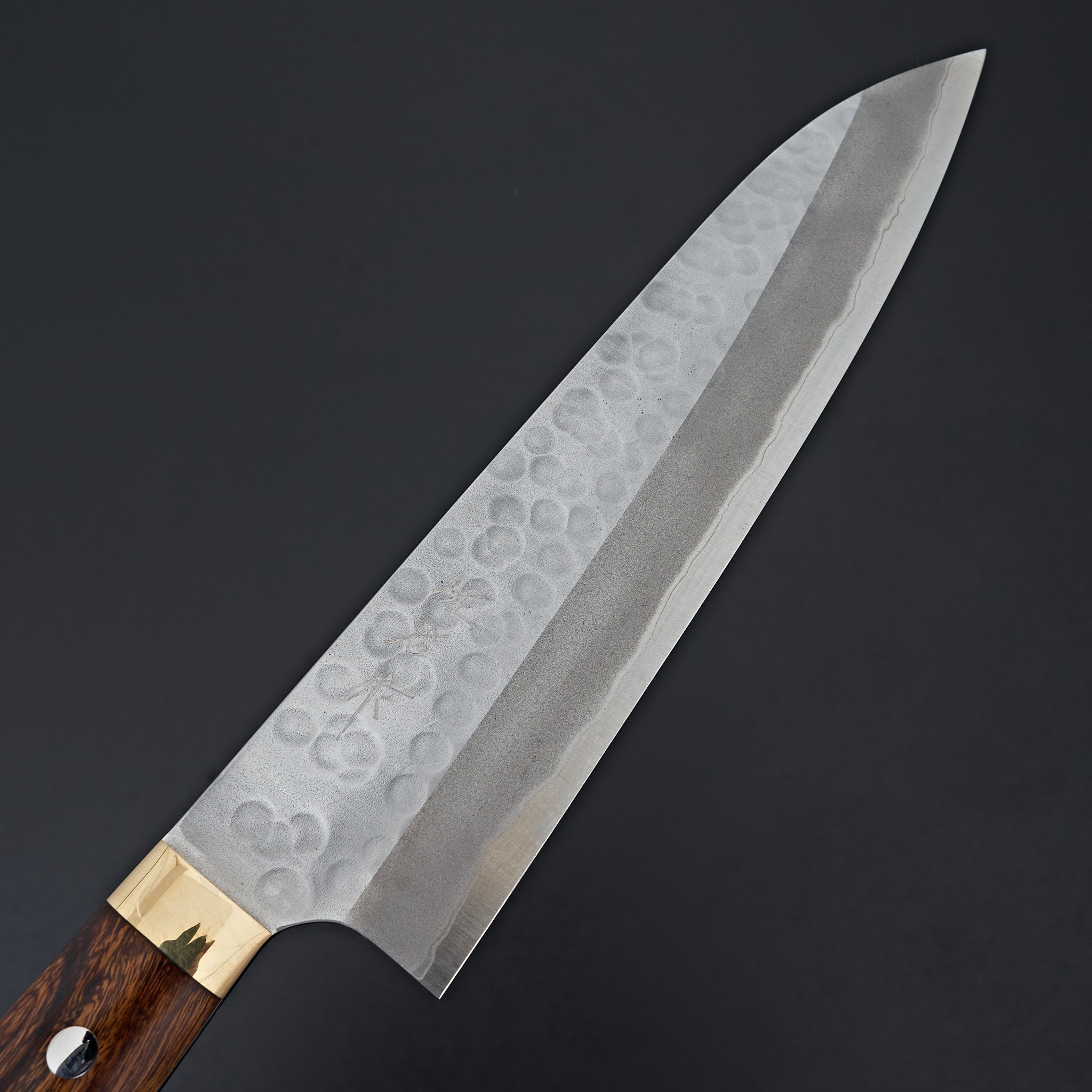 Masakage Zero Gyuto 210mm