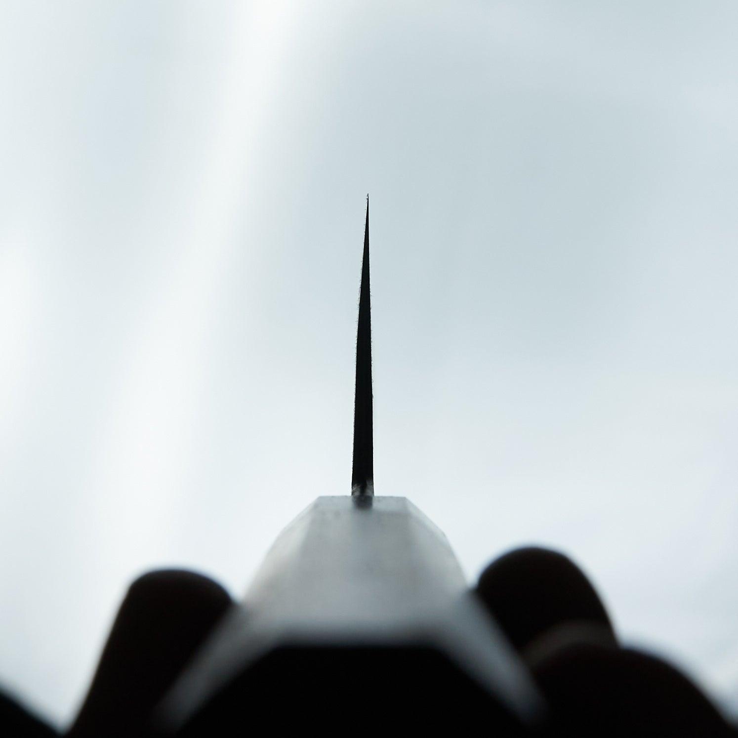 Miyazaki Kajiya Migaki Stainless Clad Blue #2 Hakata180mm