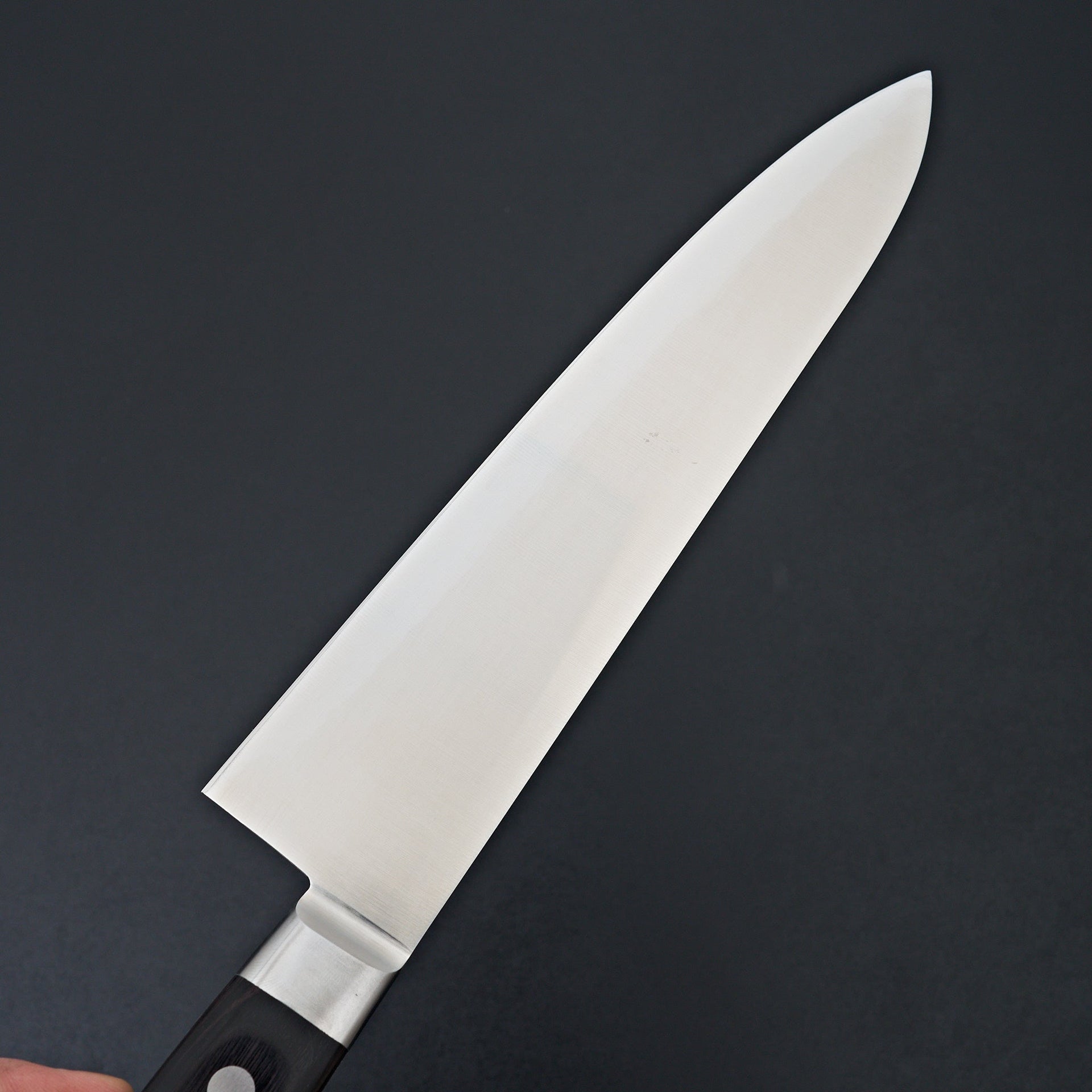 Morihei Hisamoto INOX Gyuto 240mm Pakka Handle-Hitohira-Carbon Knife Co