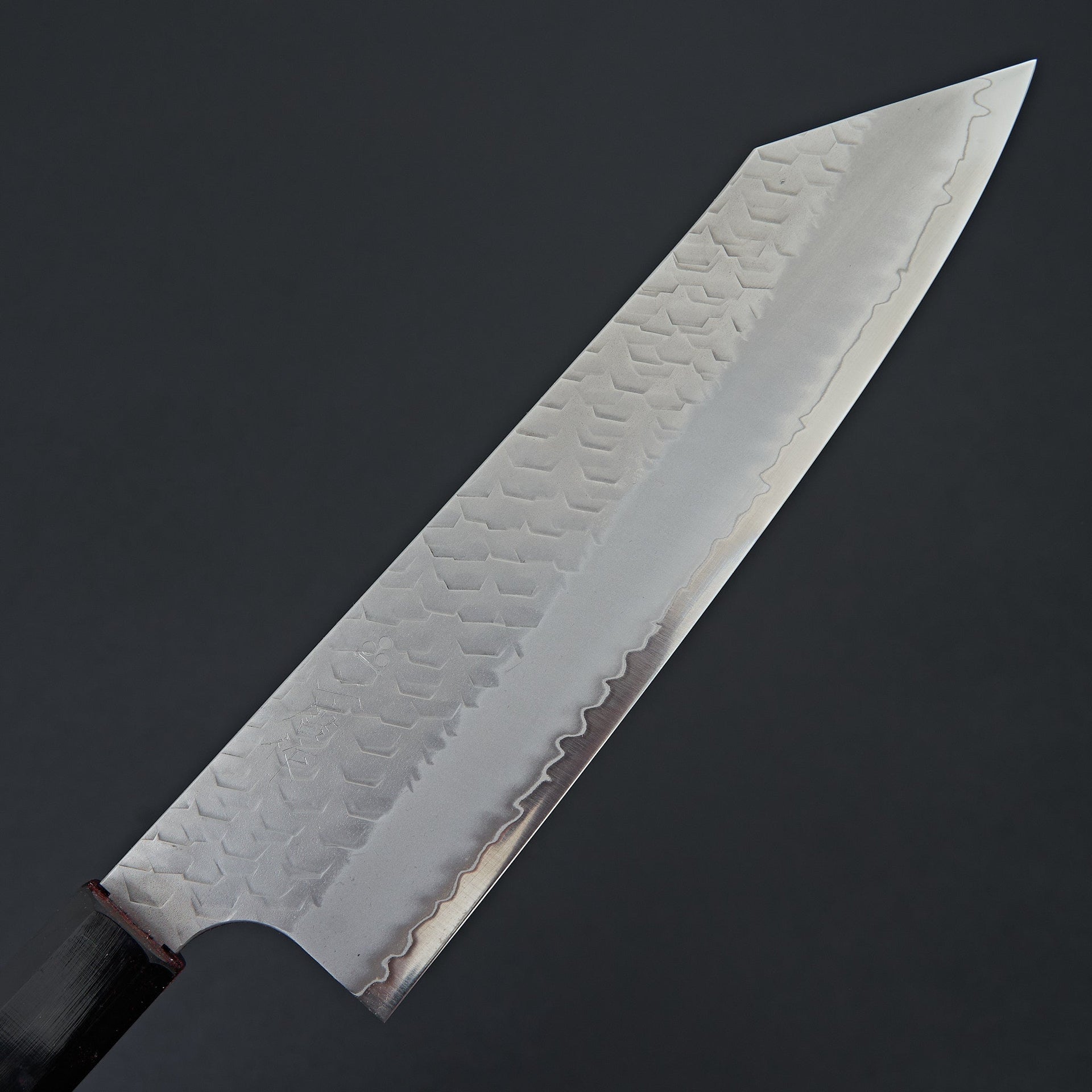 Nigara Hamono SG2 Migaki Tsuchime Kiritsuke Gyuto 210mm-Knife-Handk-Carbon Knife Co