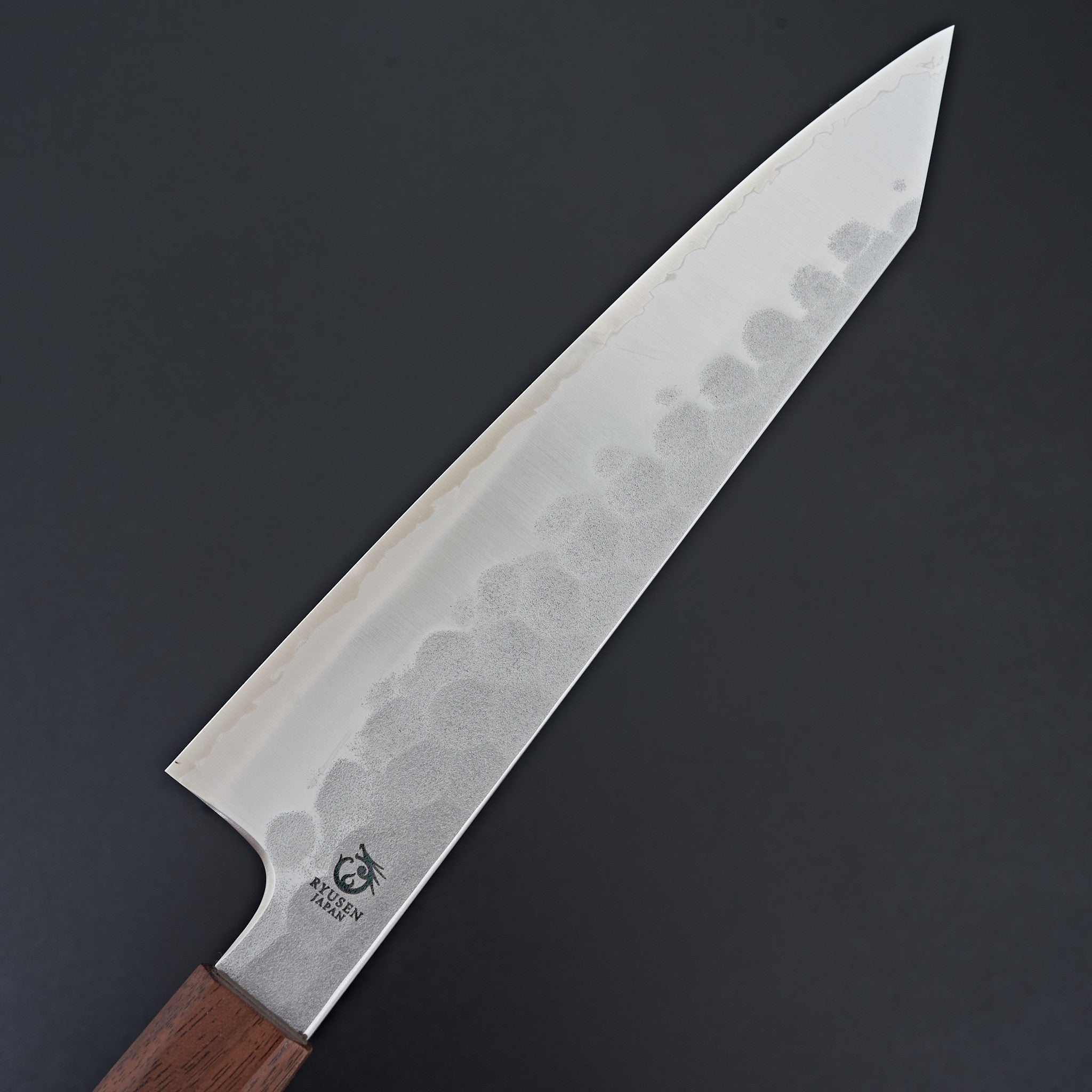 Ryusen Blazen Ryu Wa Gyuto 210mm