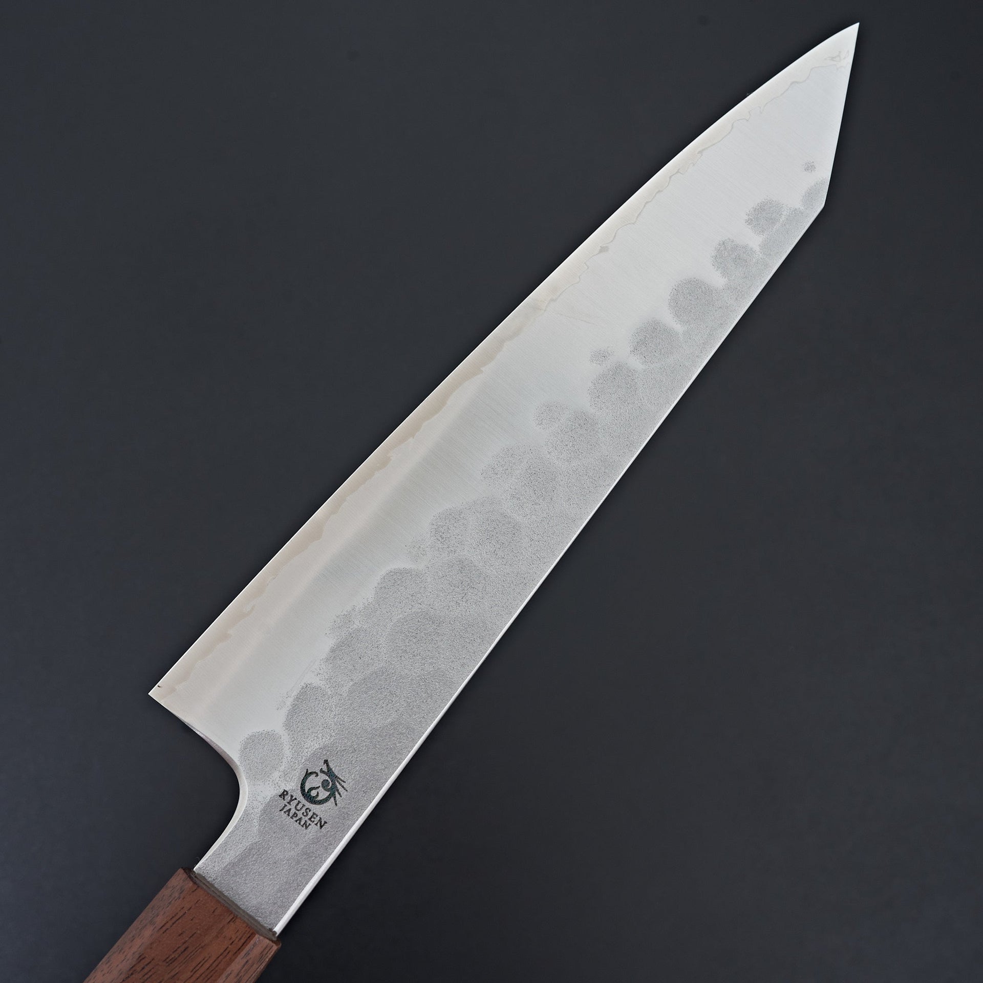 Ryusen Blazen Ryu Wa Gyuto 210mm-Knife-Ryusen-Carbon Knife Co