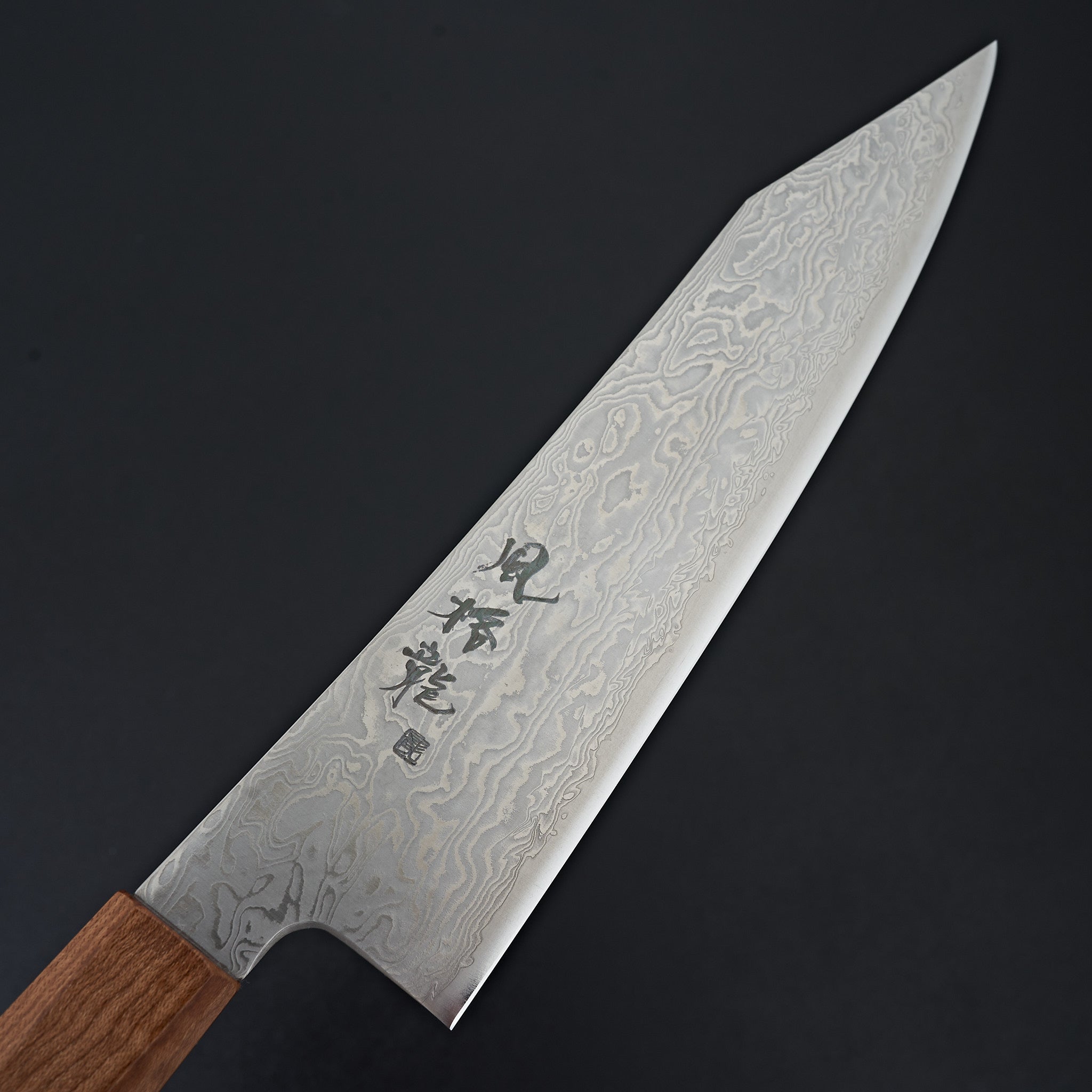 Ryusen Fukakuryu Wa Gyuto 210mm