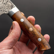 Saji R2 Ironwood Handle Gyuto 210mm-Knife-Takeshi Saji-Carbon Knife Co