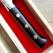 Saji Rainbow Damascus Petty 150mm-Knife-Takeshi Saji-Carbon Knife Co