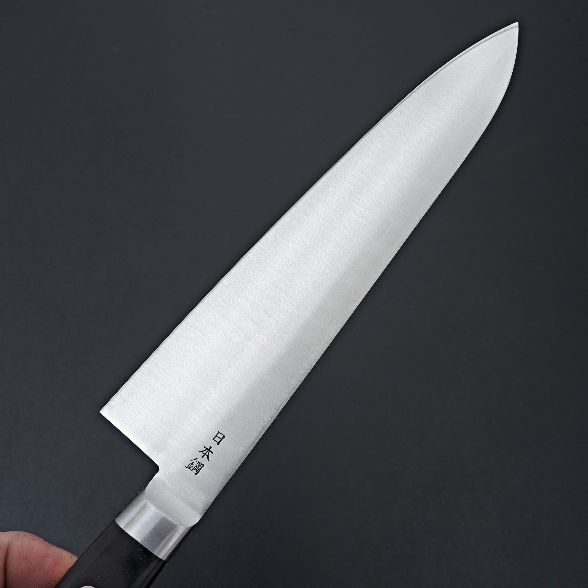 Sakai Kikumori Nihonko Carbon Gyuto 210mm-Knife-Sakai Kikumori-Carbon Knife Co