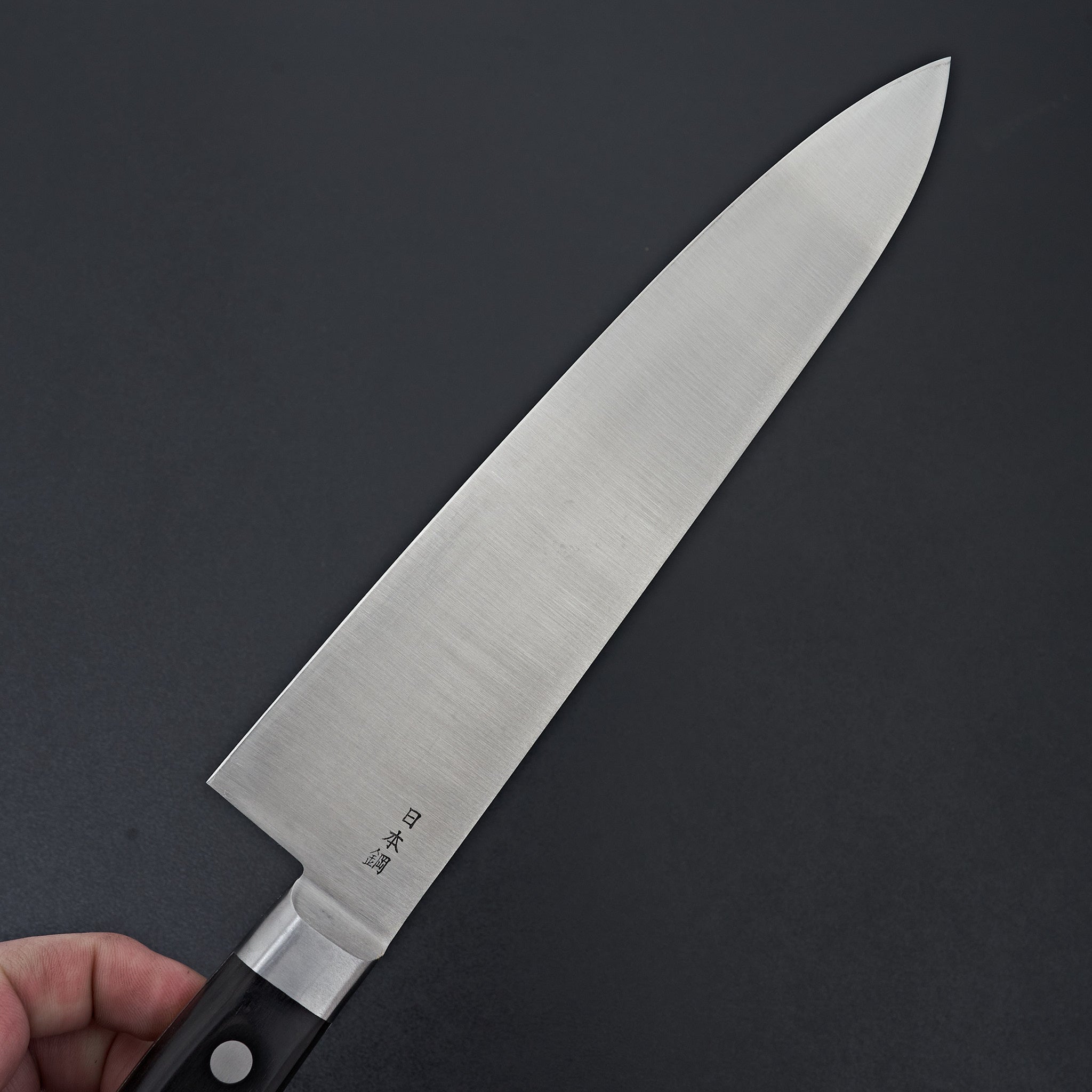 Sakai Kikumori Nihonko Carbon Gyuto 240mm