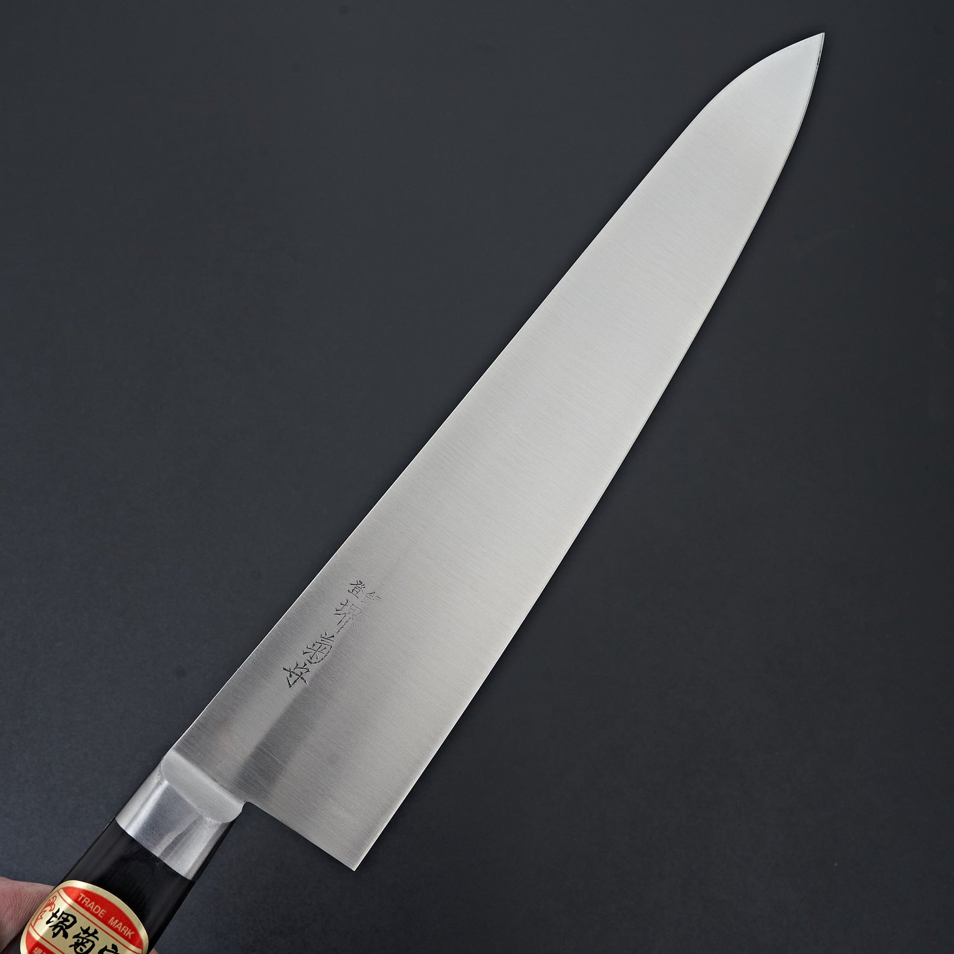 Sakai Kikumori Nihonko Carbon Gyuto 270mm-Knife-Sakai Kikumori-Carbon Knife Co