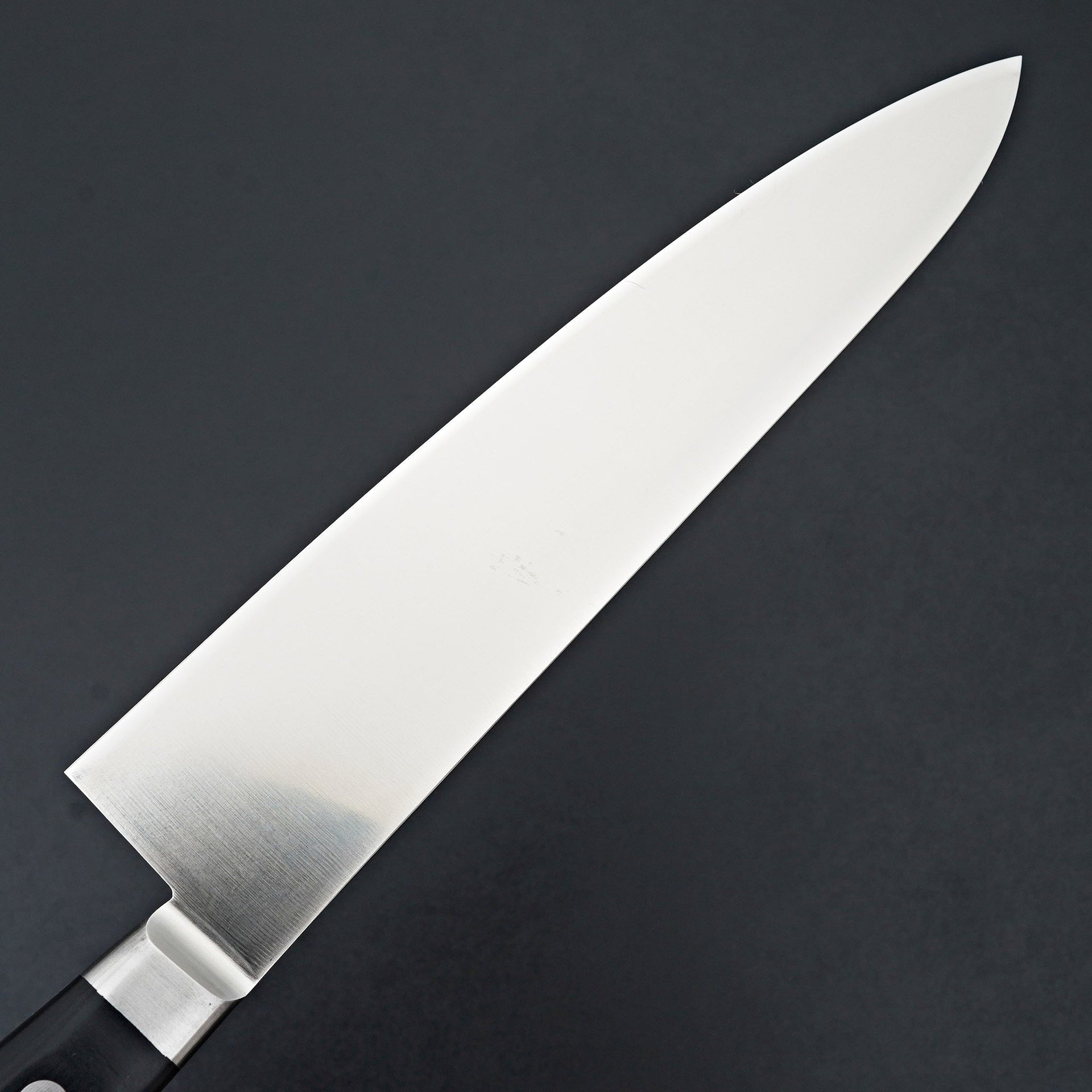 Sakai Takayuki Grand Chef SP Gyuto 240mm-Knife-Sakai Takayuki-Carbon Knife Co