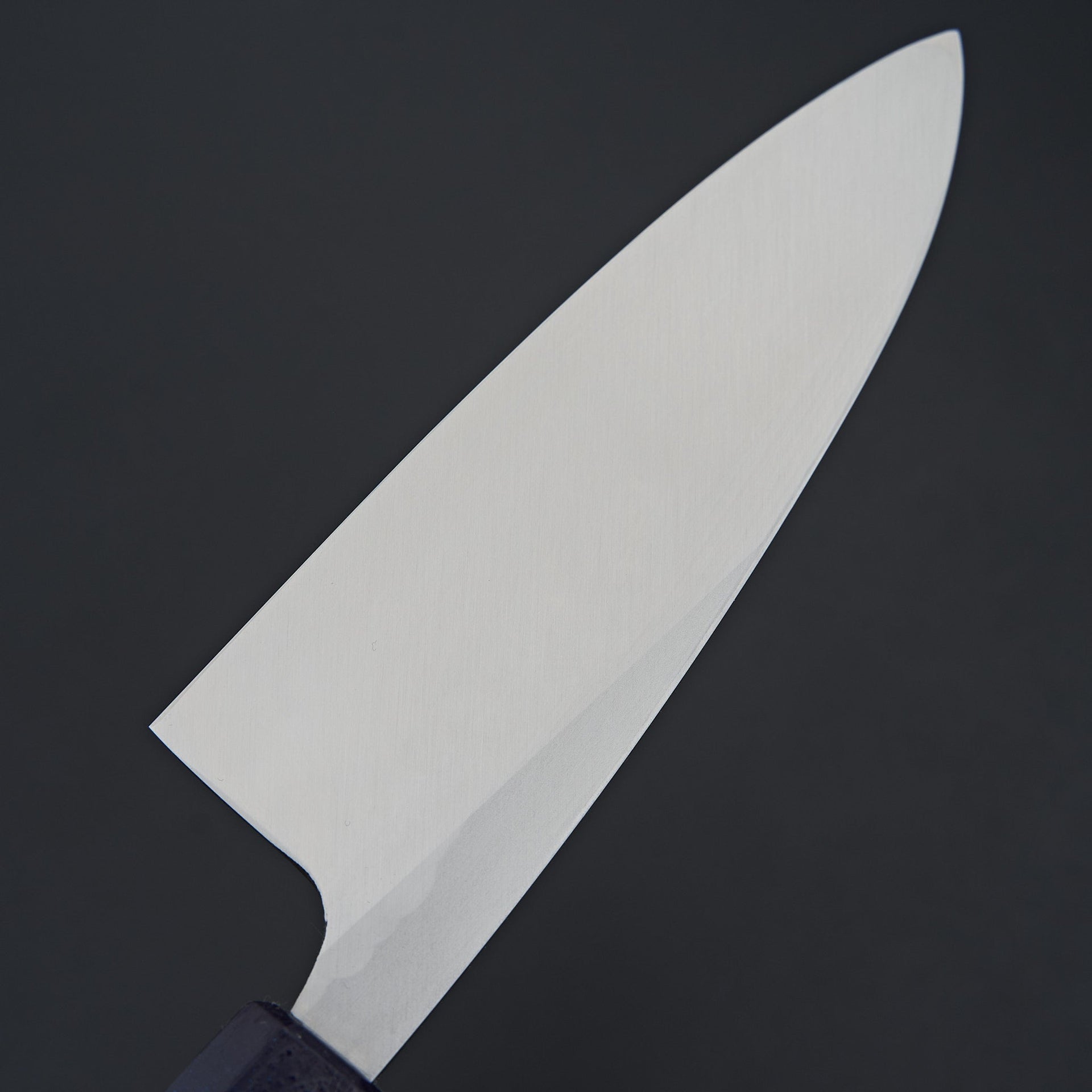 Sakai Takayuki Nanairo Blue Tortoiseshell Deba 180mm-Knife-Sakai Takayuki-Carbon Knife Co