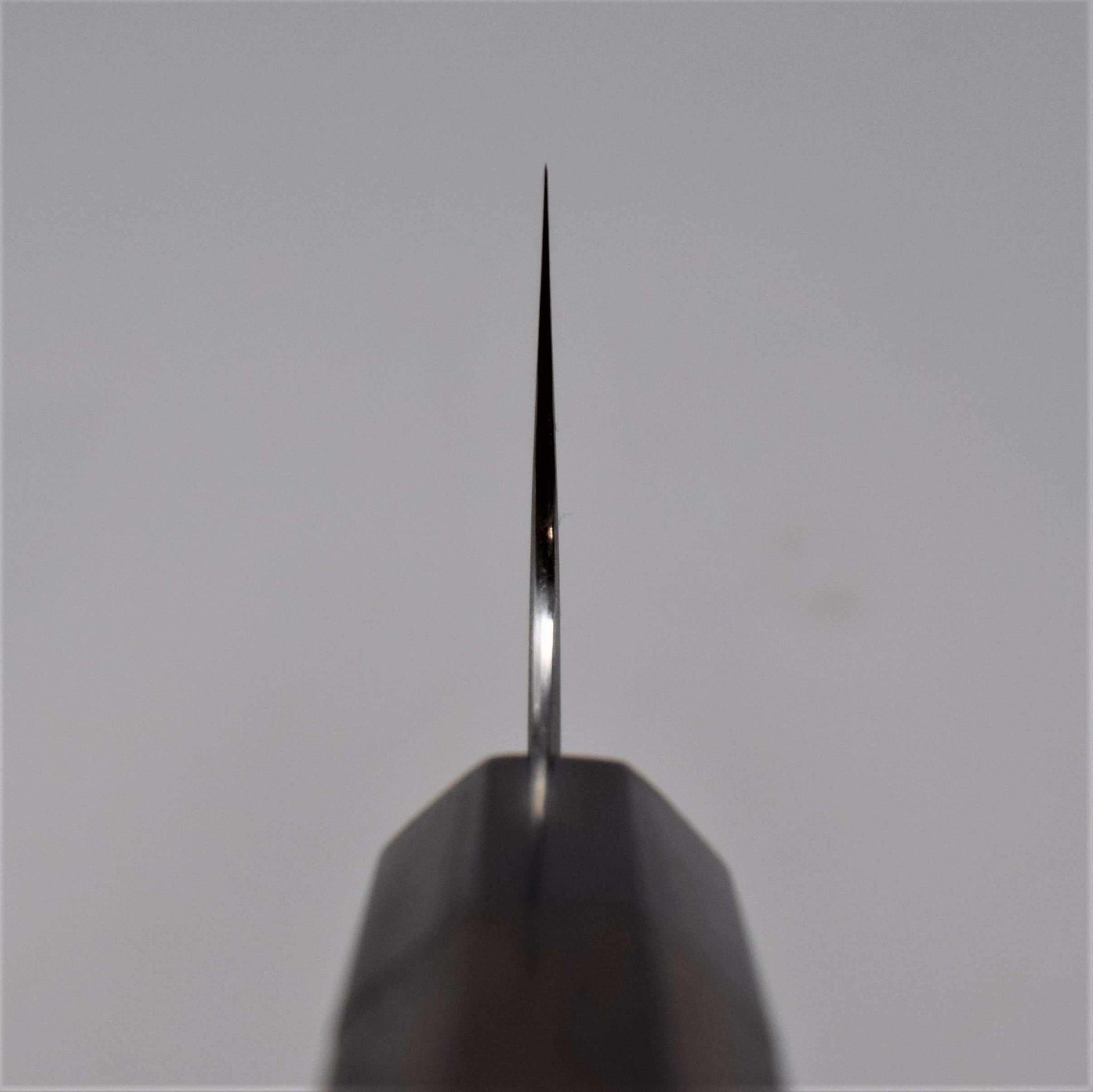 Shibata Koutetsu Gyuto 240mm-Knife-Shibata-Carbon Knife Co