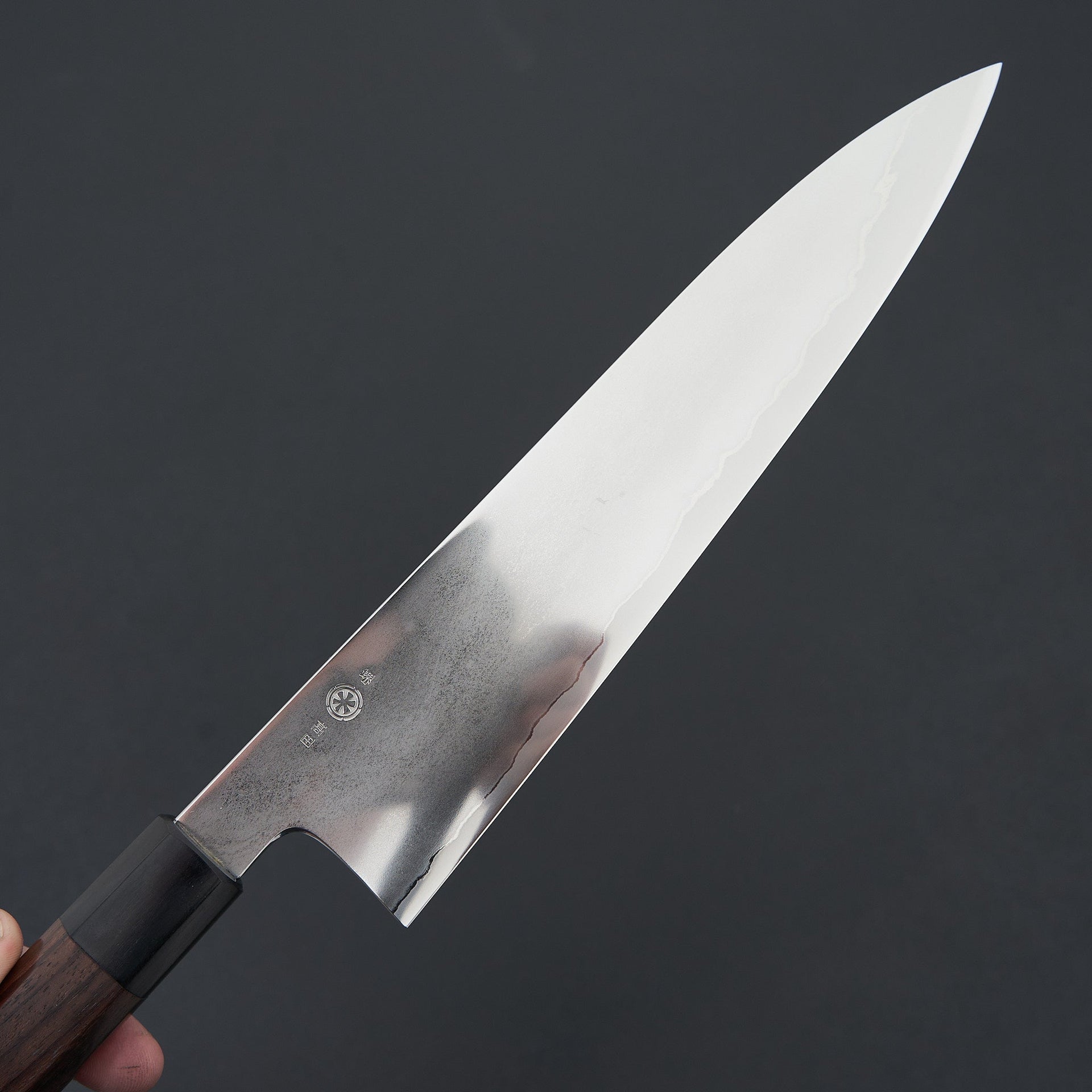 Takada no Hamono Suiboku Rosewood Ginsan Gyuto 240mm-Knife-Takada no Hamono-Carbon Knife Co