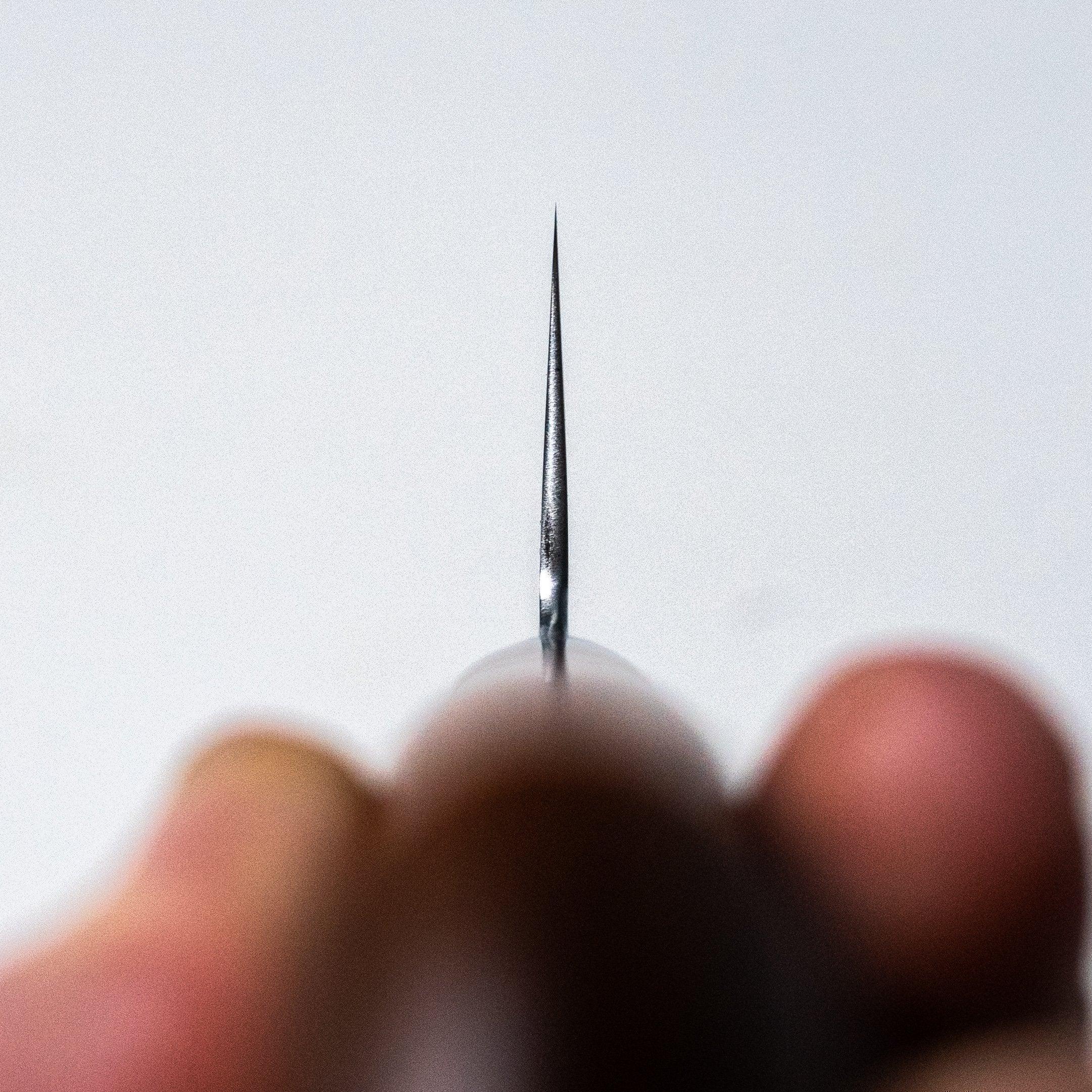 Takamura Chromax Gyuto 210mm