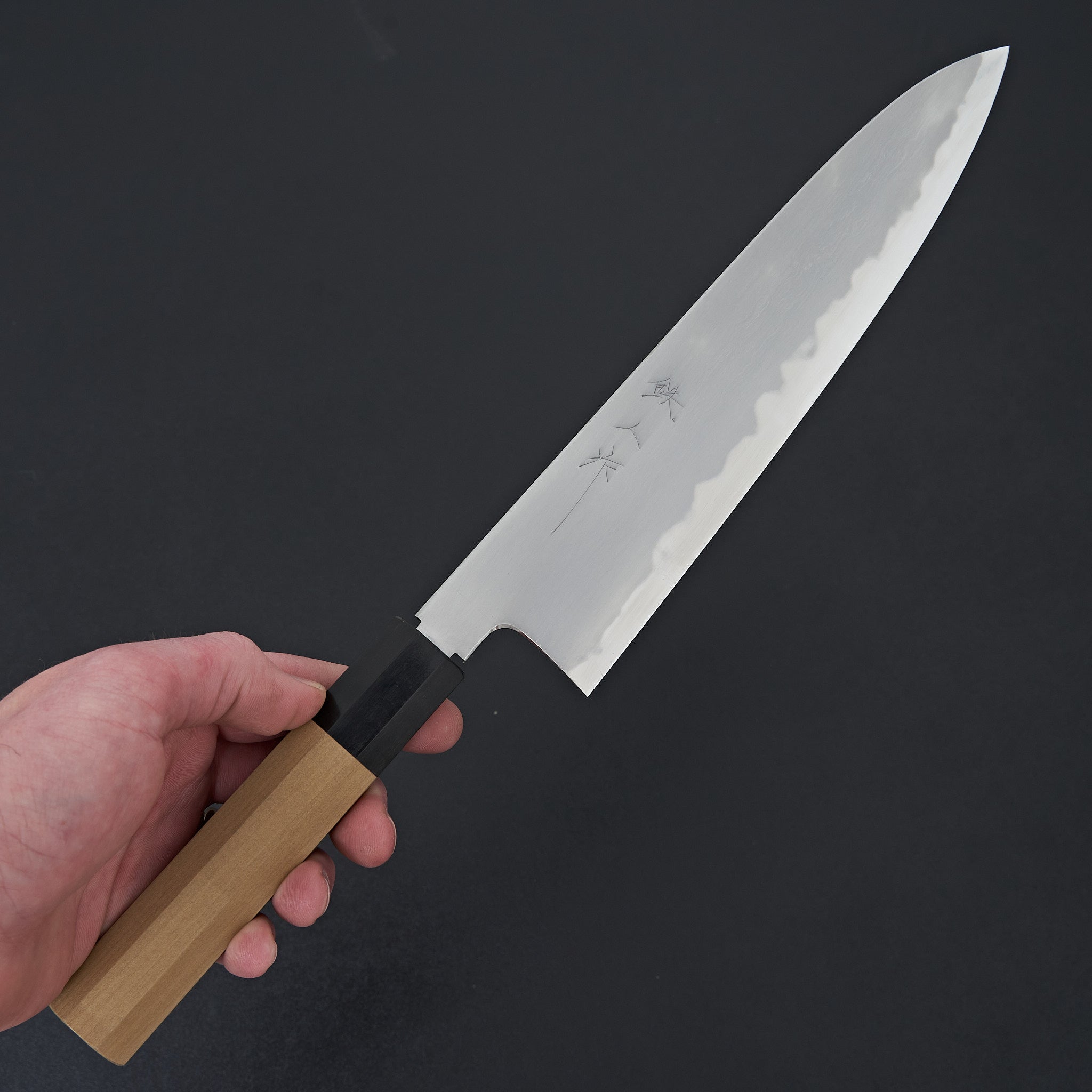 Tetsujin Blue #2 Kasumi Gyuto 240mm Ho Wood Handle