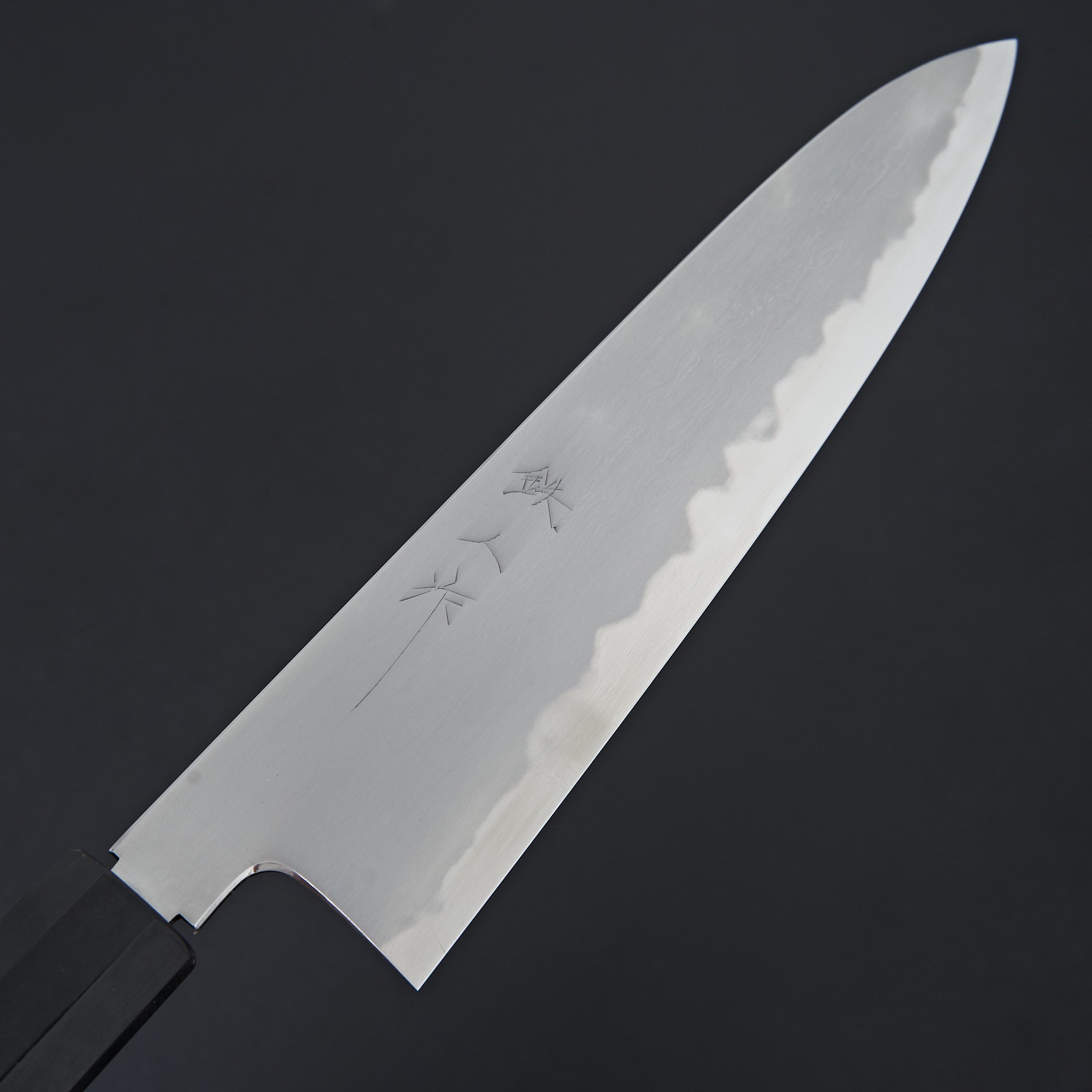 Tetsujin Blue #2 Kasumi Gyuto 240mm Ho Wood Handle