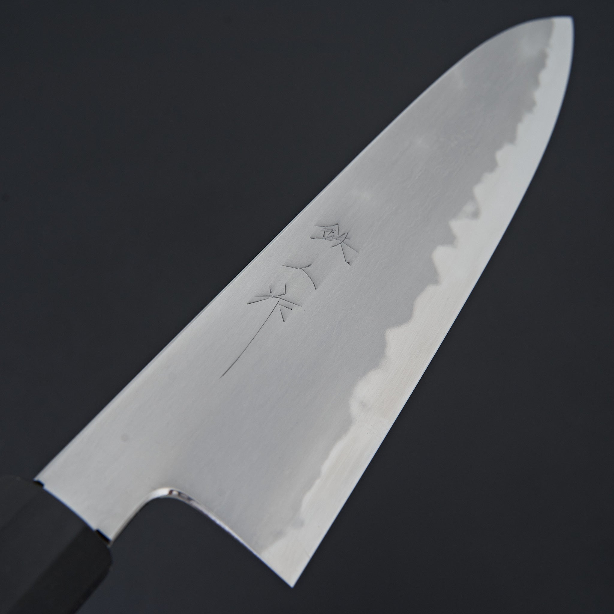 Tetsujin Blue #2 Kasumi Gyuto 240mm Ho Wood Handle