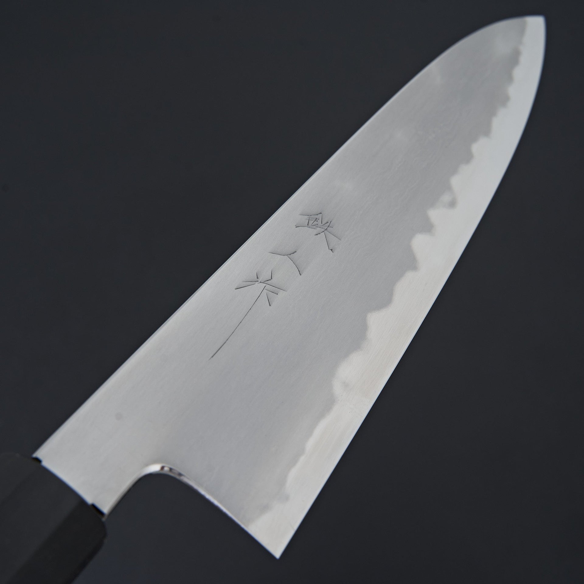 Tetsujin Blue #2 Kasumi Gyuto 240mm Ho Wood Handle-Knife-Hitohira-Carbon Knife Co