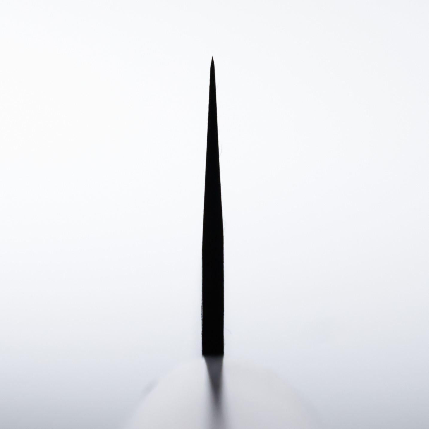 Tsunehisa AS Kurouchi Kiritsuke 210mm