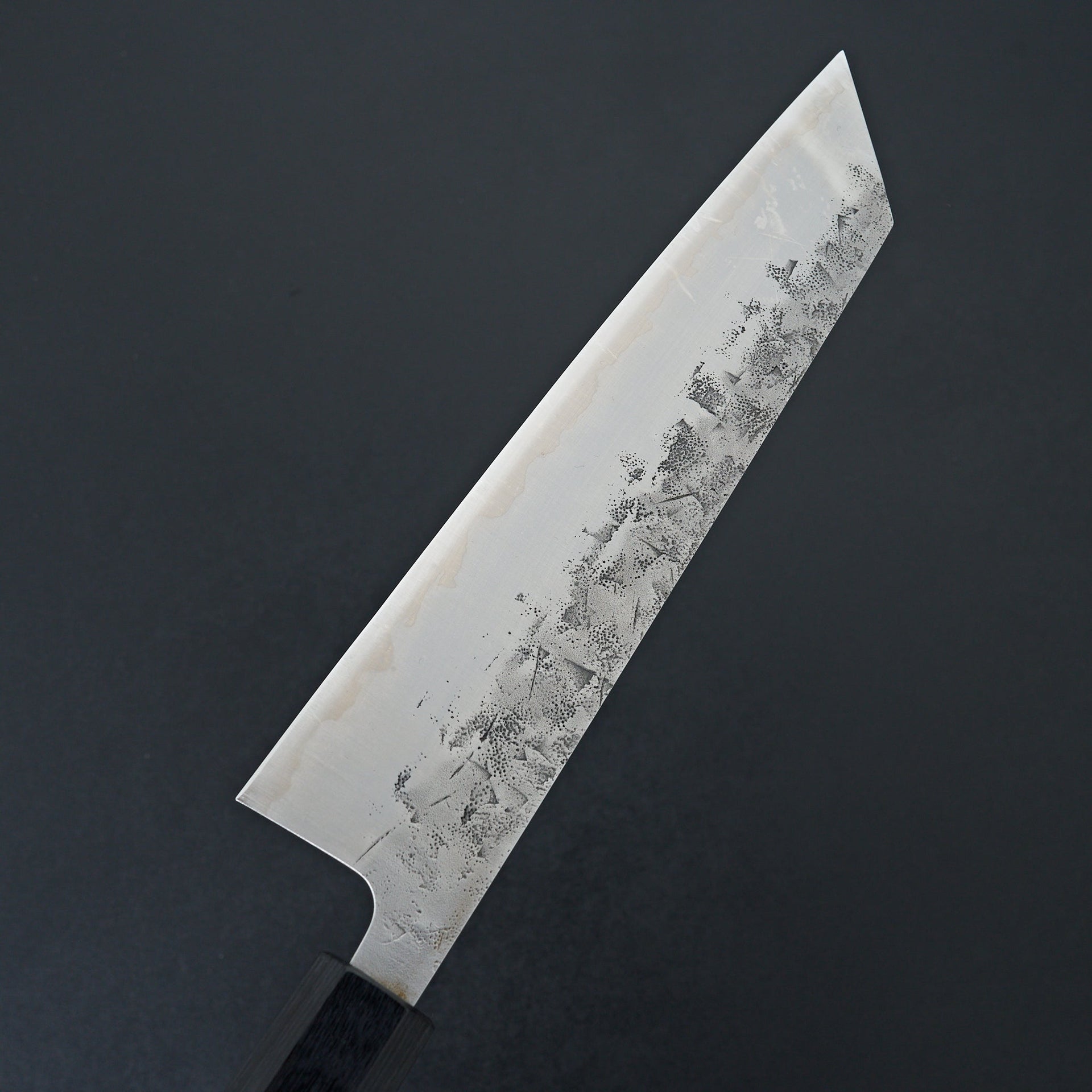 Tsunehisa SLD Washiji Kiritsuke 210mm-Tsunehisa-Carbon Knife Co