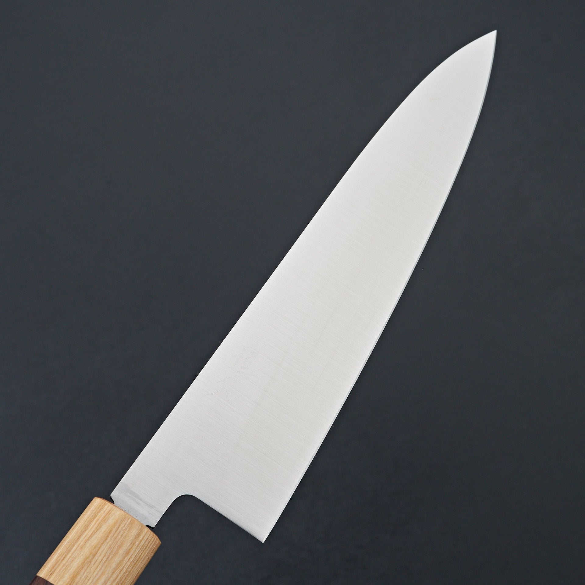 Tsunehisa VG1 Wa Gyuto 210mm-Carbon Knife Co-Carbon Knife Co
