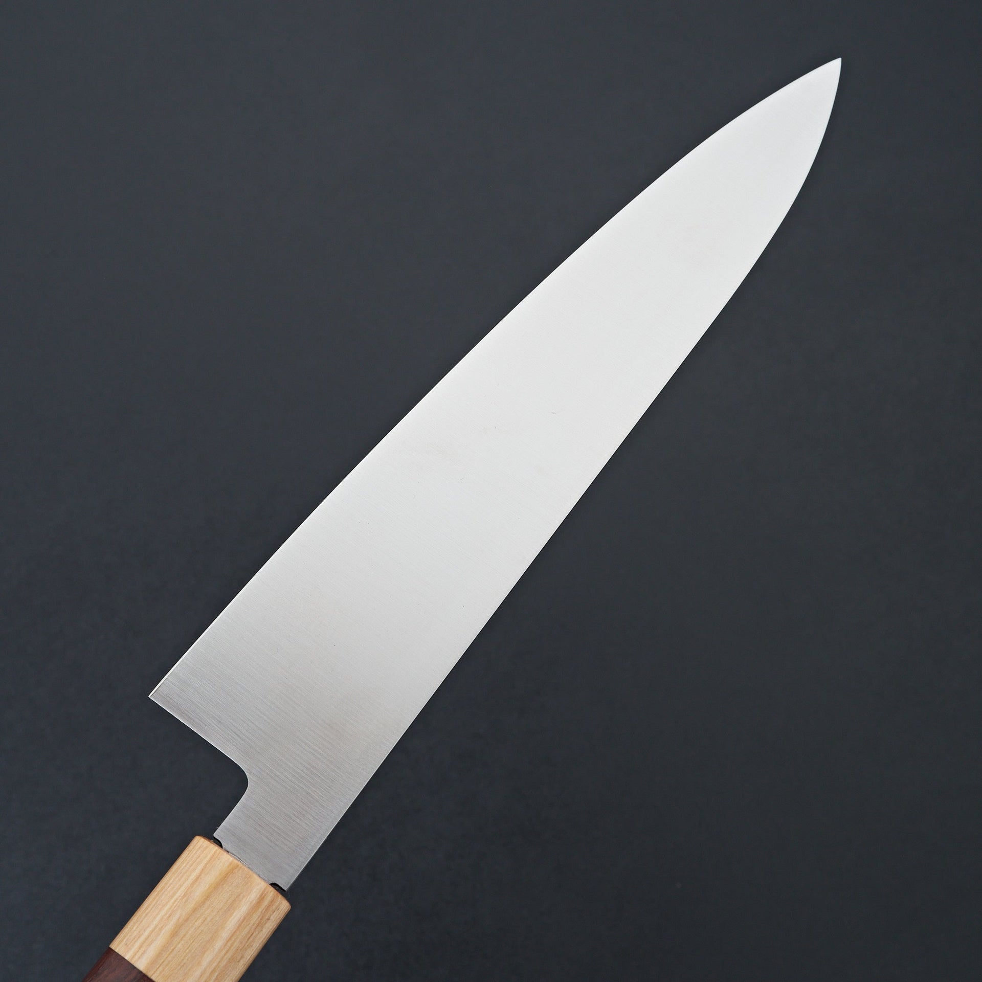 Tsunehisa VG1 Wa Gyuto 240mm-Carbon Knife Co-Carbon Knife Co